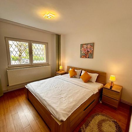 Jad - Familiy 4 Rooms Apartment - Near Forest - Racadau Braşov Esterno foto