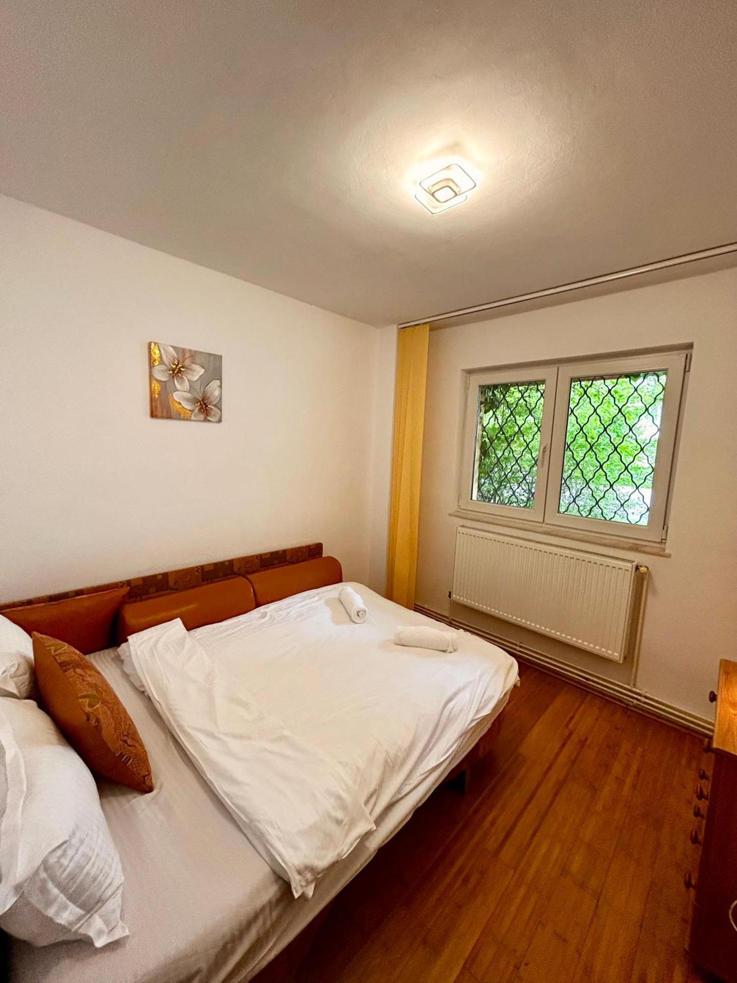 Jad - Familiy 4 Rooms Apartment - Near Forest - Racadau Braşov Esterno foto